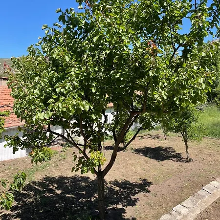 Ferienhaus Lila's Mikros Prinos