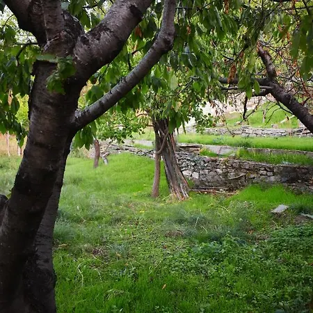 Lila's Μικρός Πρίνος