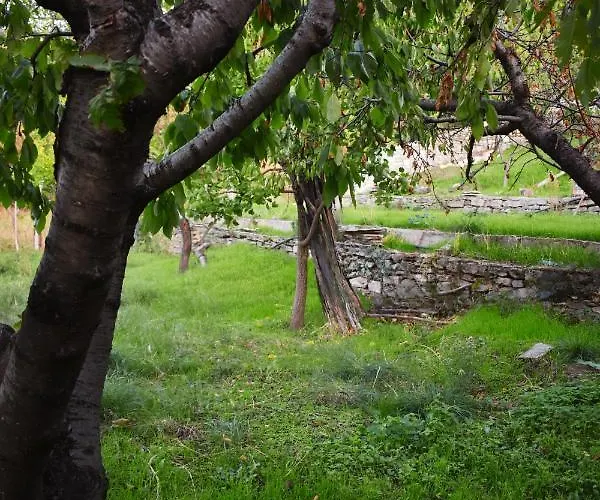 Lila's Mikros Prinos