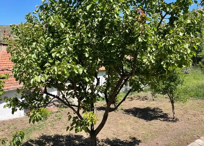 Tatil Evi Lila's Mikros Prinos